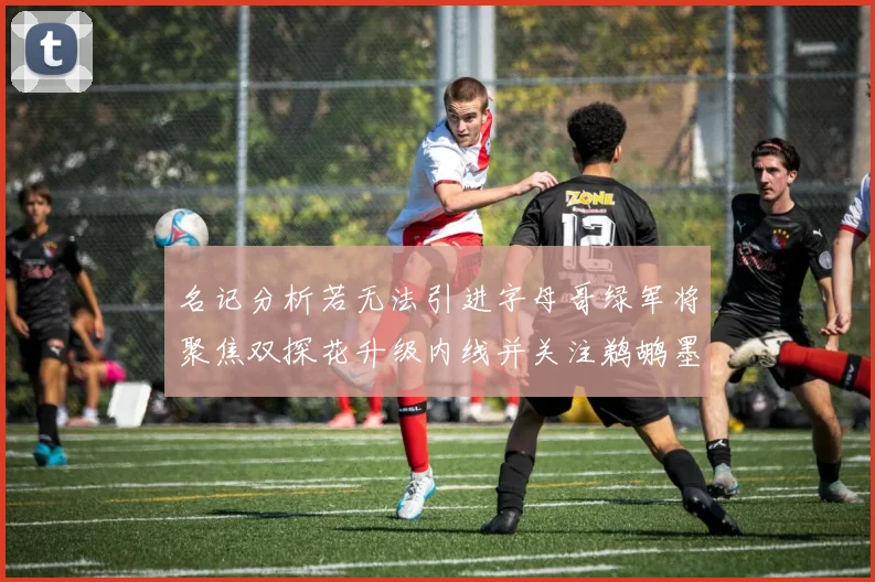 名记分析若无法引进字母哥绿军将聚焦双探花升级内线并关注鹈鹕墨菲