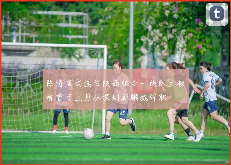 陈涛正式接任陕西联合一线队主教练曾于上月从深圳新鹏城辞职
