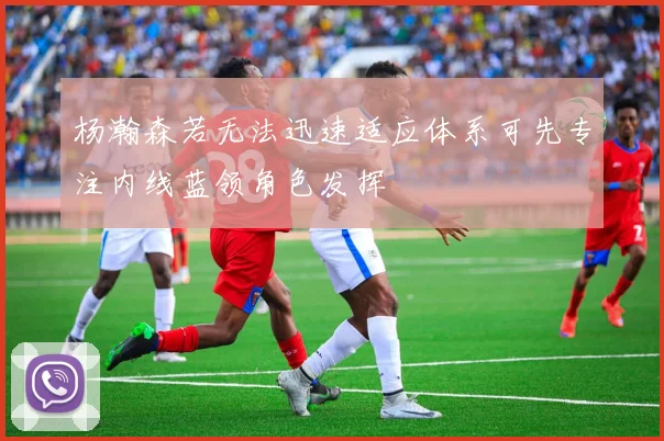 杨瀚森若无法迅速适应体系可先专注内线蓝领角色发挥